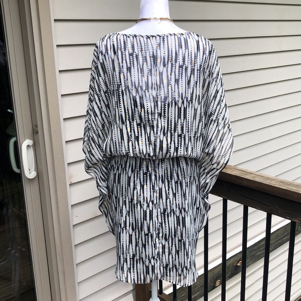 Express Sheer Summertime Dress - Picture 10 of 14